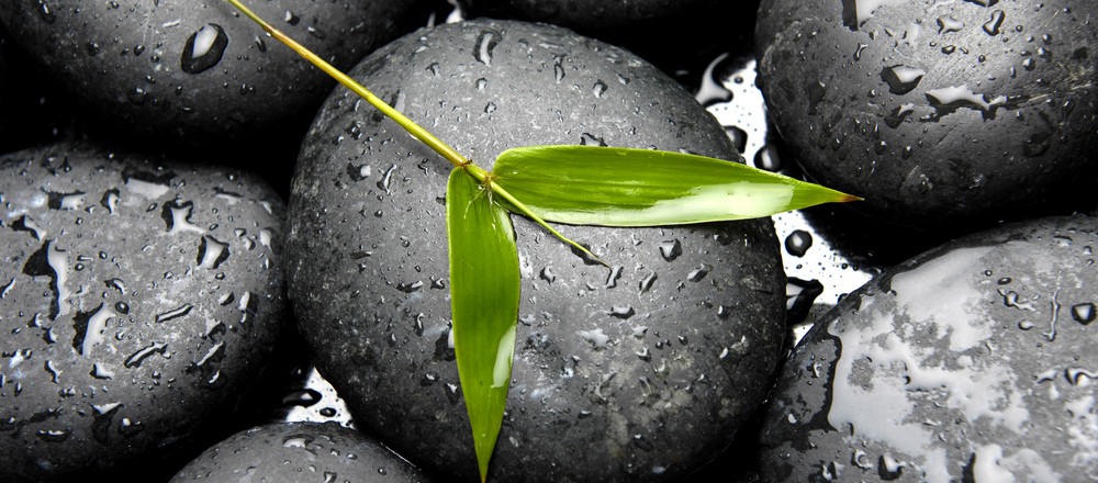 Green bamboo leaf on wet black stones with water droplets.