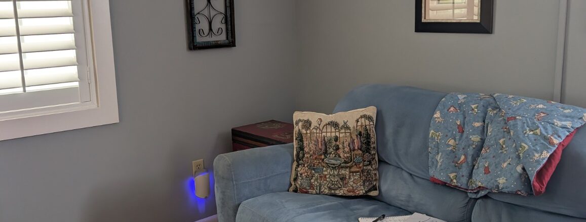 hypnosis office Palm Harbor Debbie Lane Wisdom Hypnosis